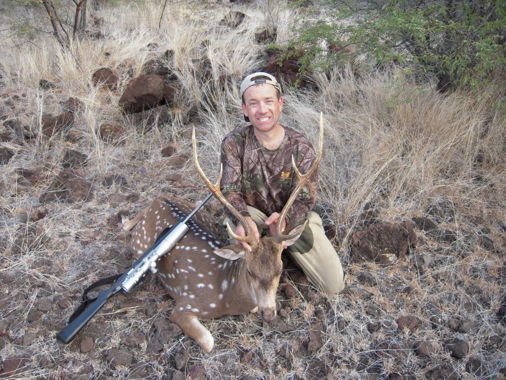 Axis Deer Hunting On Lanai Hawaii Photo by 2good2 Photobucket
